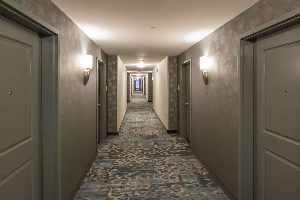 Hilton Garden Inn Mount Holly/Westampton Interior foto